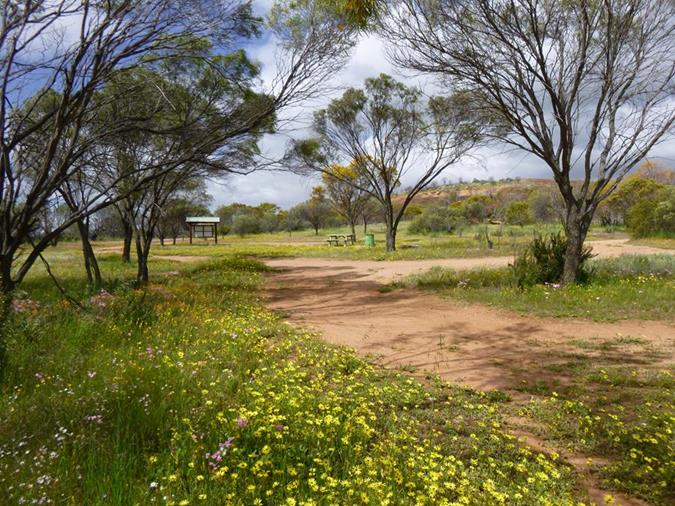 Talgomine Reserve